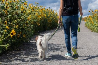 Aging Bladder Frequent Urination