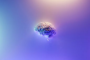 memory supplements